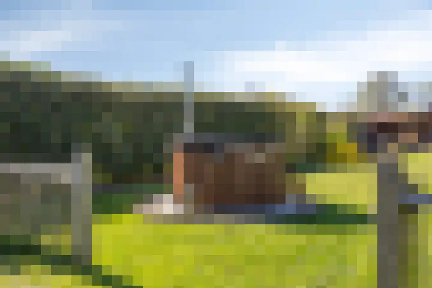 Coevorderweg 119 De Krim thumbnail 53