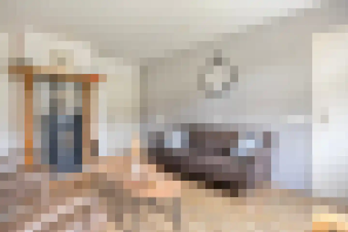 Coevorderweg 13 Arriën thumbnail 31
