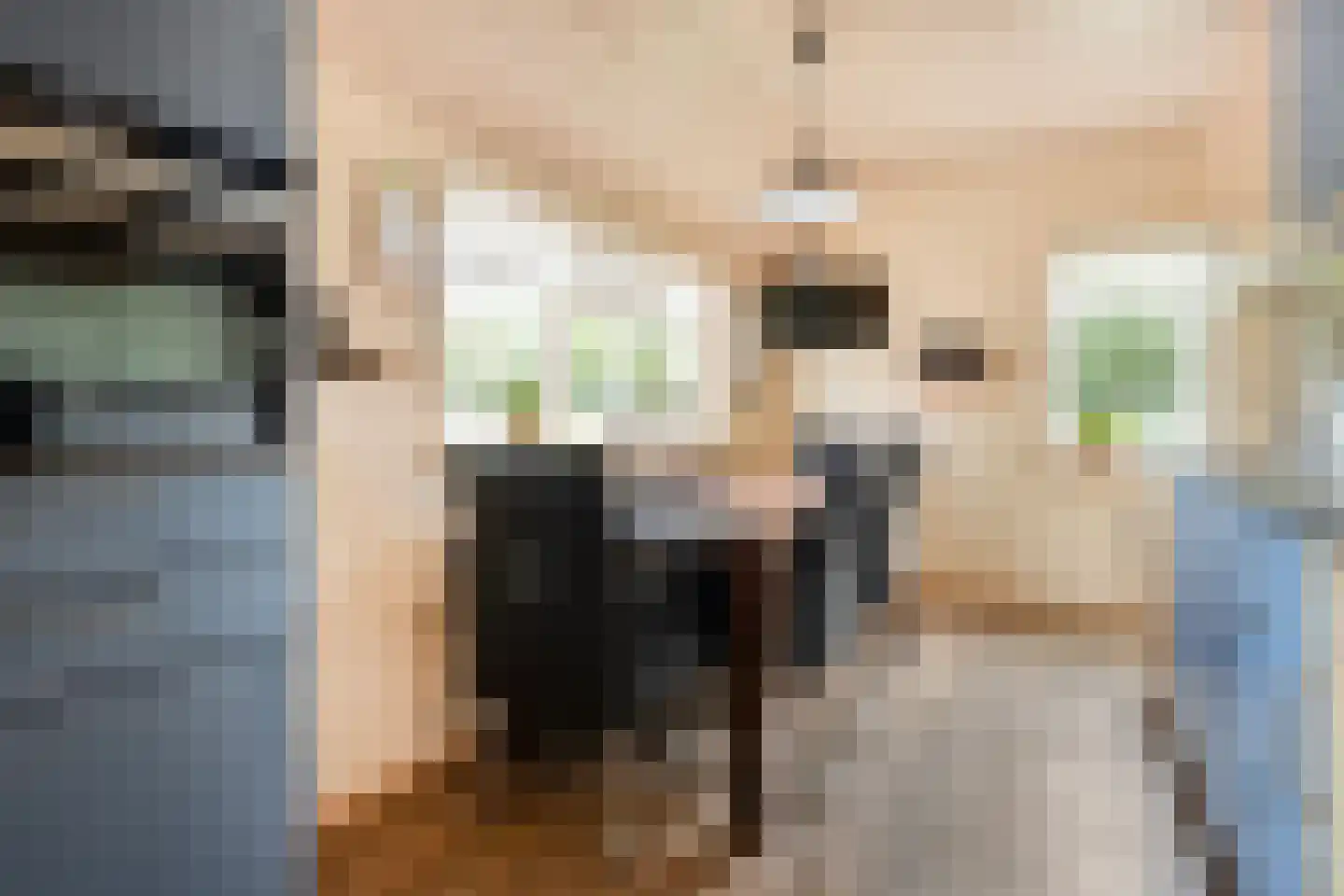Coevorderweg 13 Arriën thumbnail 35