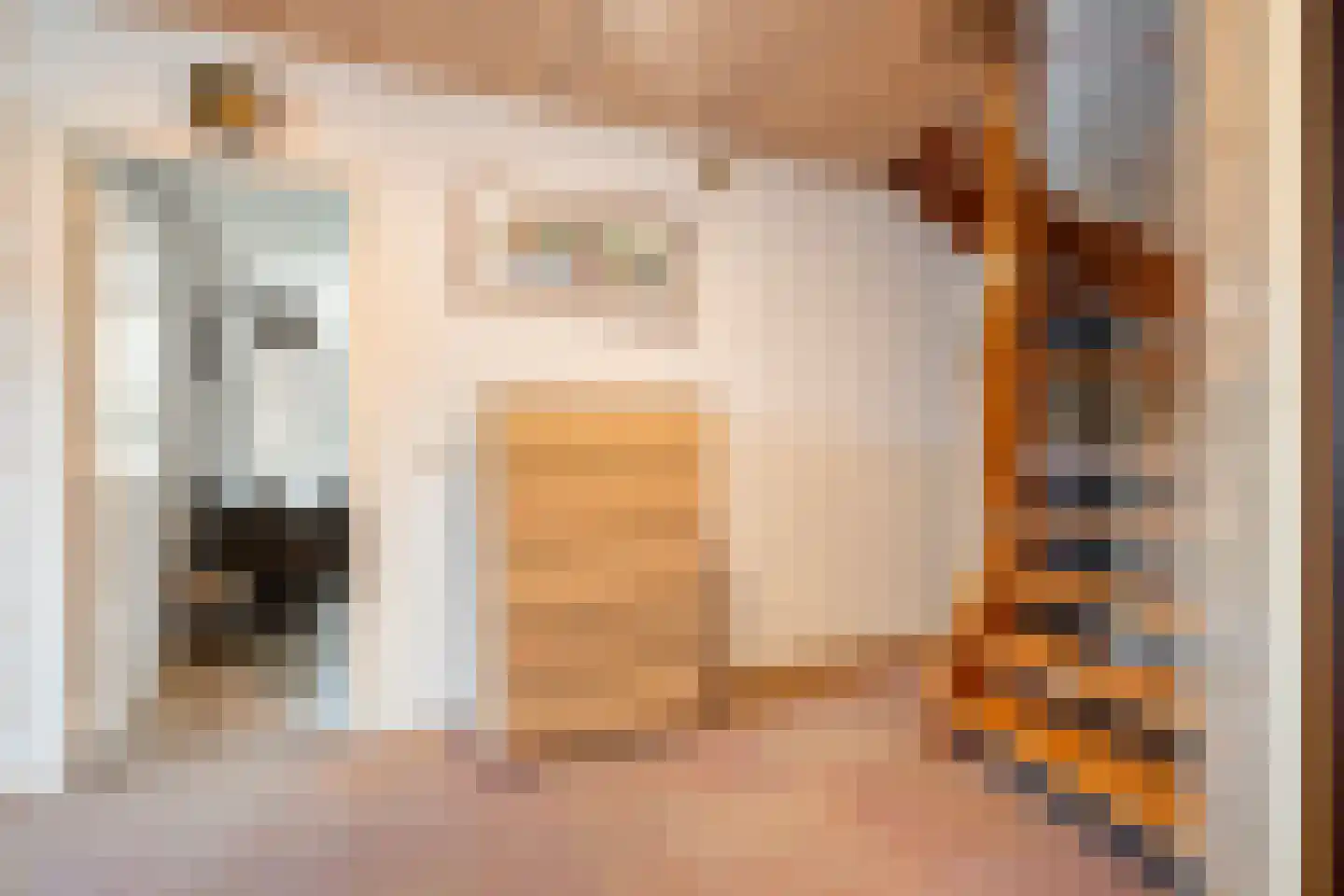 Coevorderweg 13 Arriën thumbnail 38