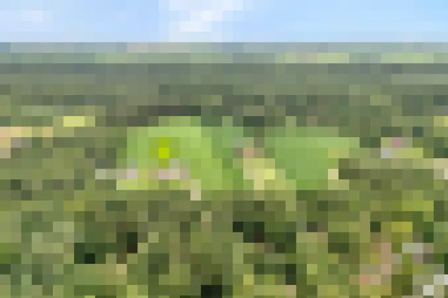 Coevorderweg 13 Arriën thumbnail 4