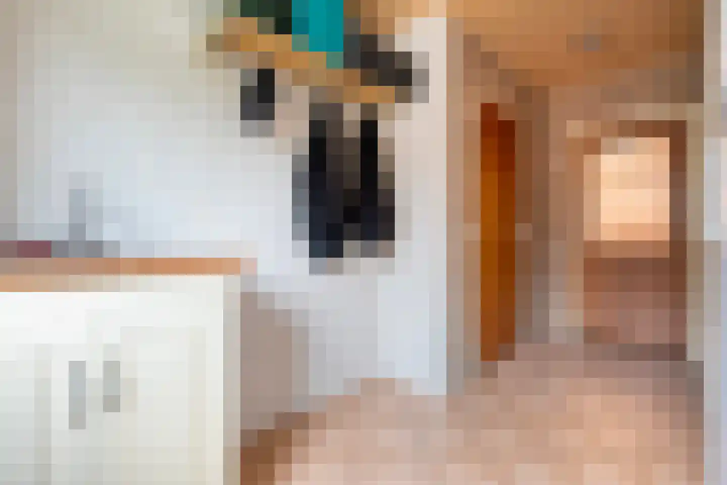 Coevorderweg 13 Arriën thumbnail 40