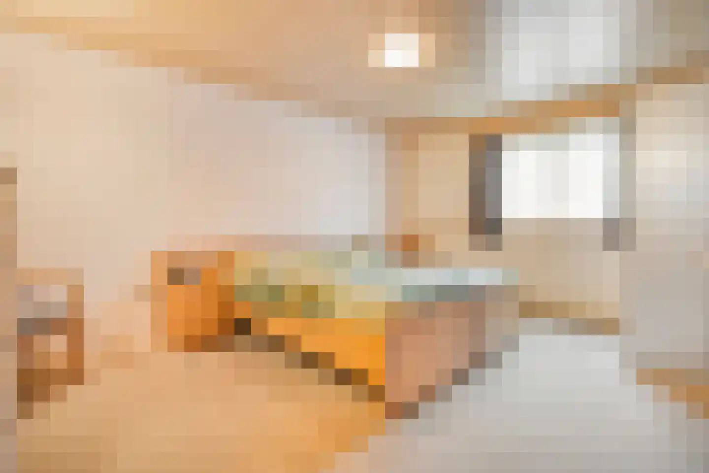 Coevorderweg 13 Arriën thumbnail 42