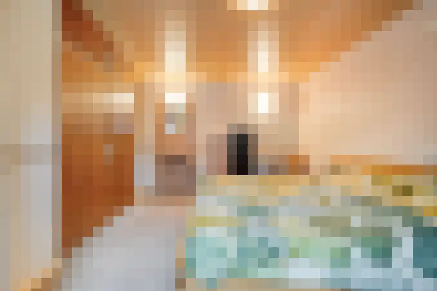 Coevorderweg 13 Arriën thumbnail 43