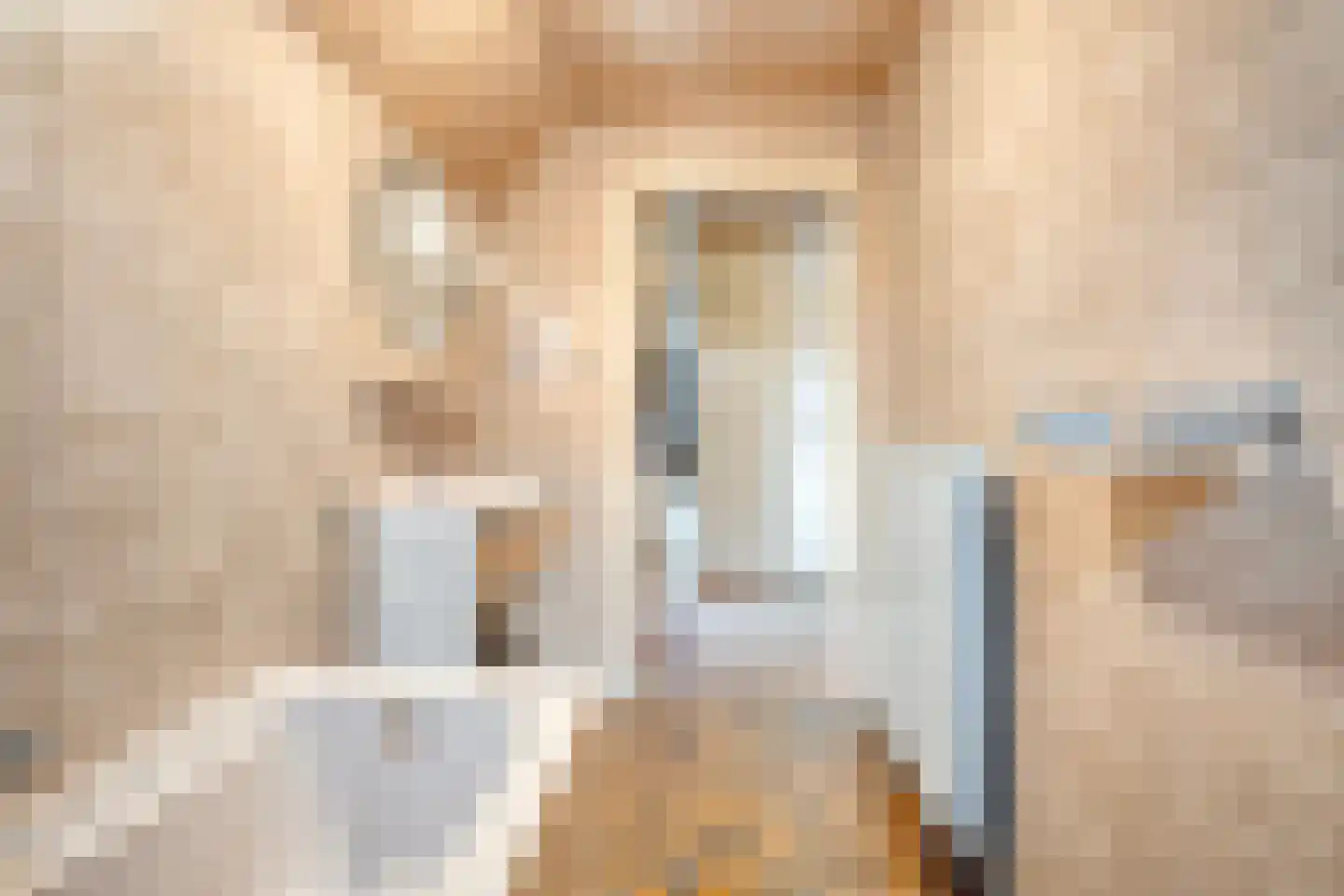 Coevorderweg 13 Arriën thumbnail 45