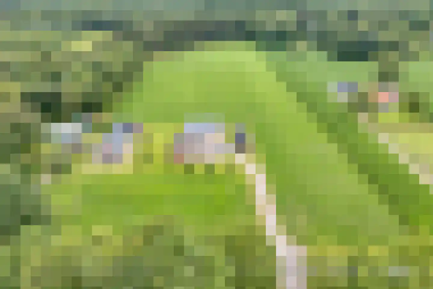 Coevorderweg 13 Arriën thumbnail 5