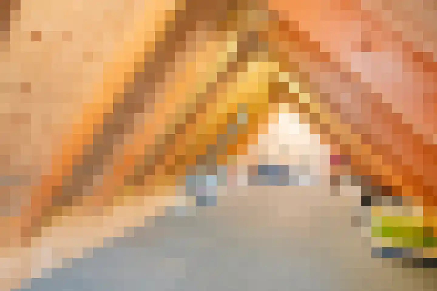Coevorderweg 13 Arriën thumbnail 51