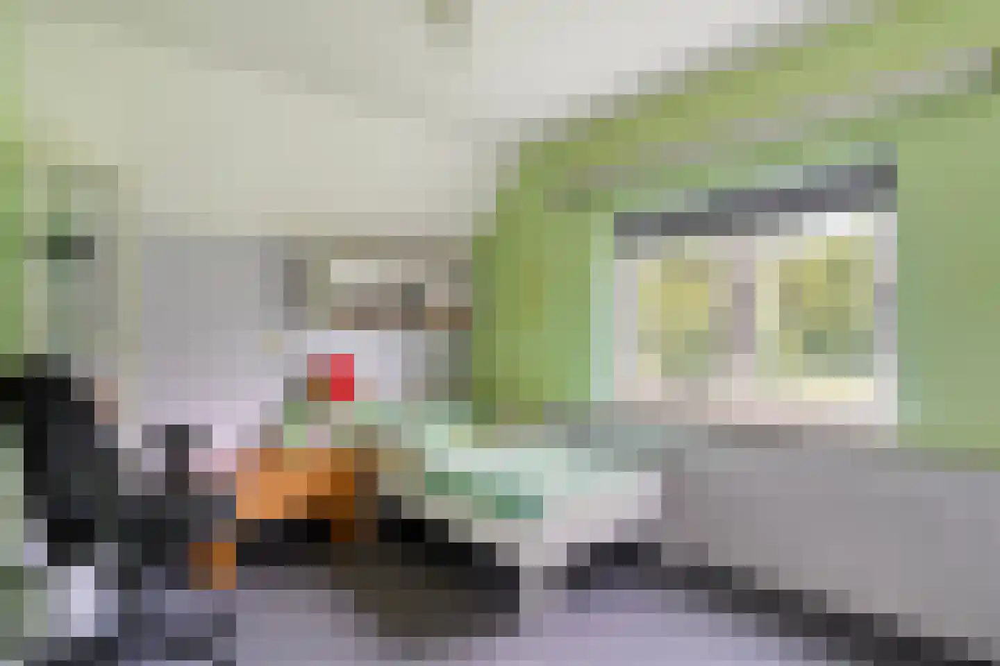 Coevorderweg 13 Arriën thumbnail 55