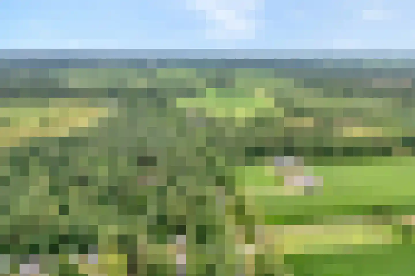 Coevorderweg 13 Arriën thumbnail 6