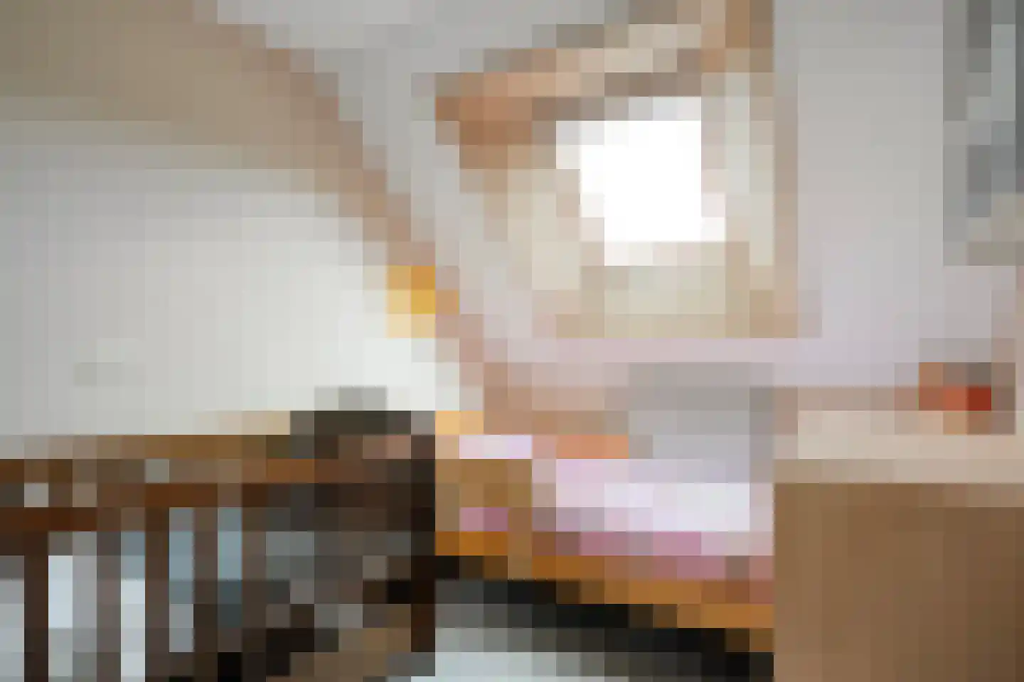 Coevorderweg 13 Arriën thumbnail 60