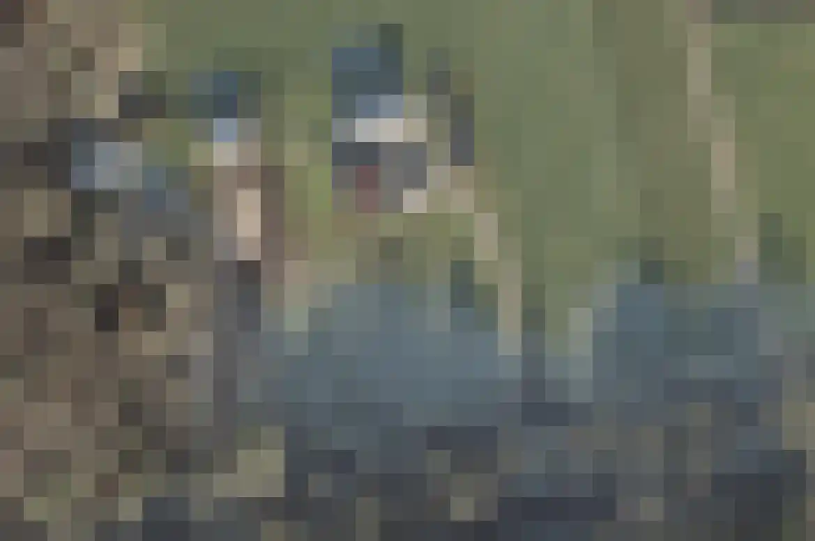 Coevorderweg 13 Arriën thumbnail 65