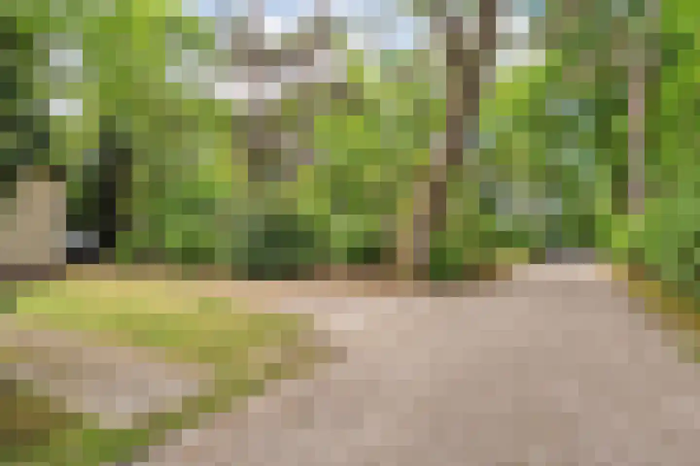Coevorderweg 17 012 Arriën thumbnail 4