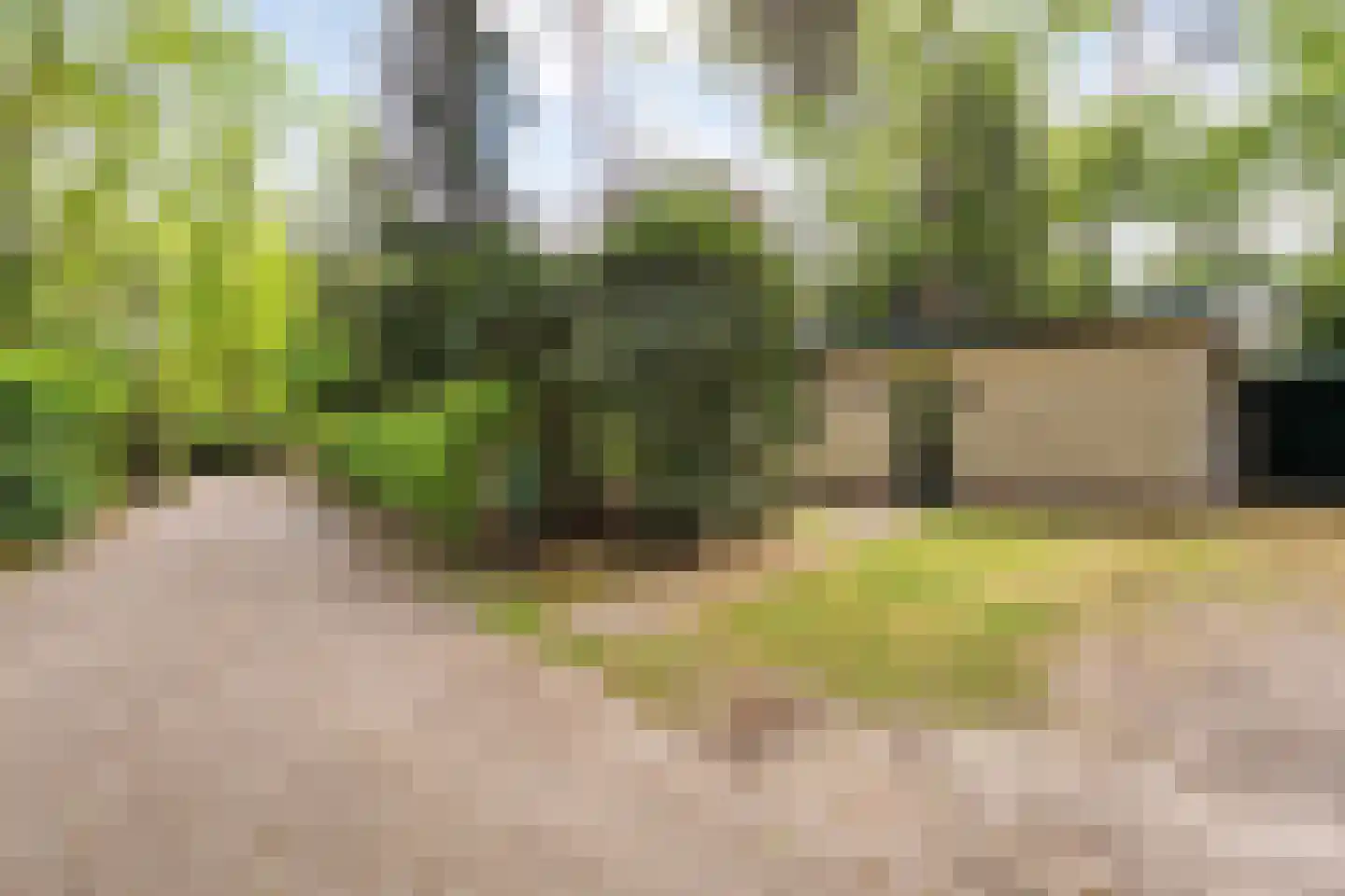 Coevorderweg 17 012 Arriën thumbnail 6