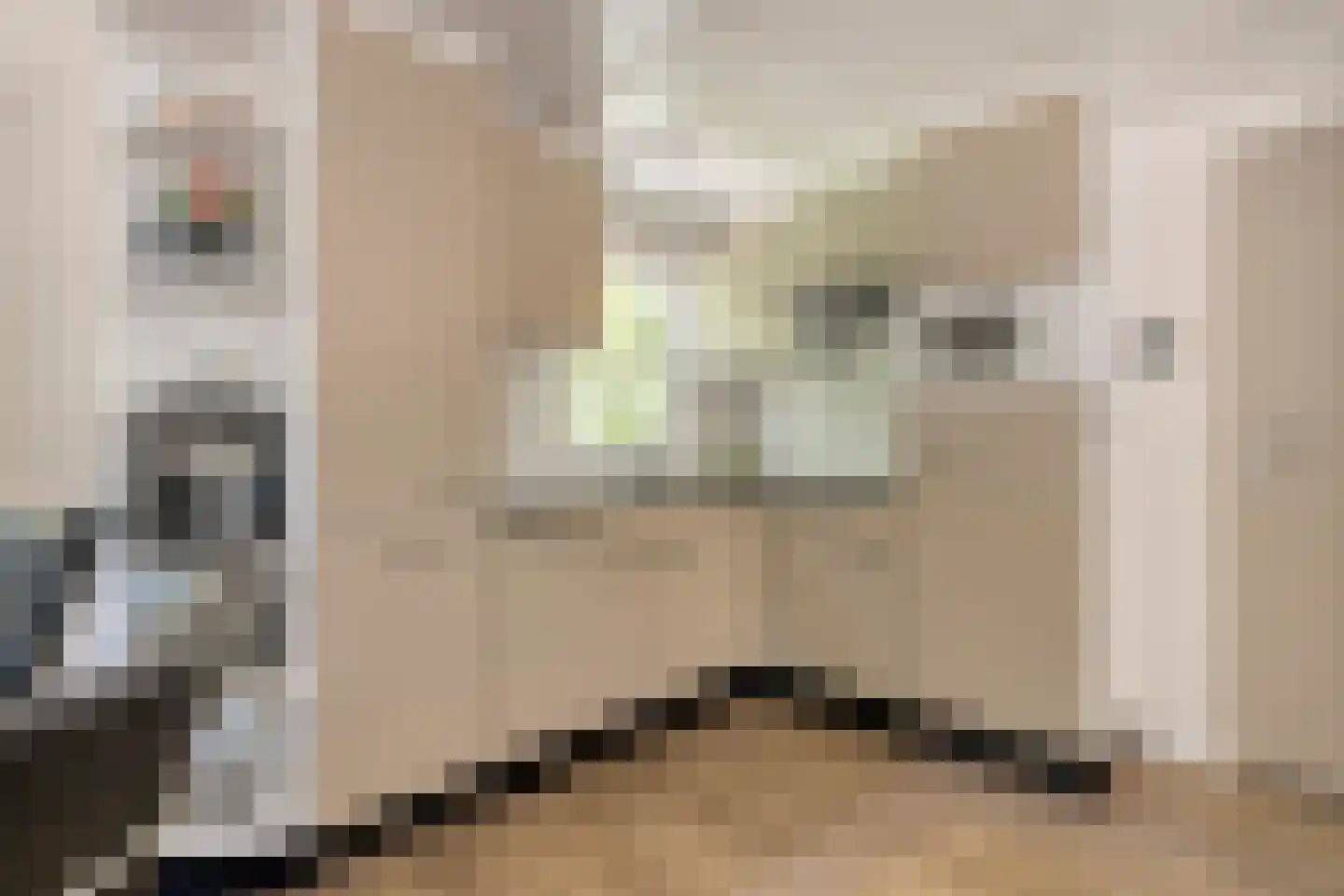 Coevorderweg 21 C1 Stegeren thumbnail 10