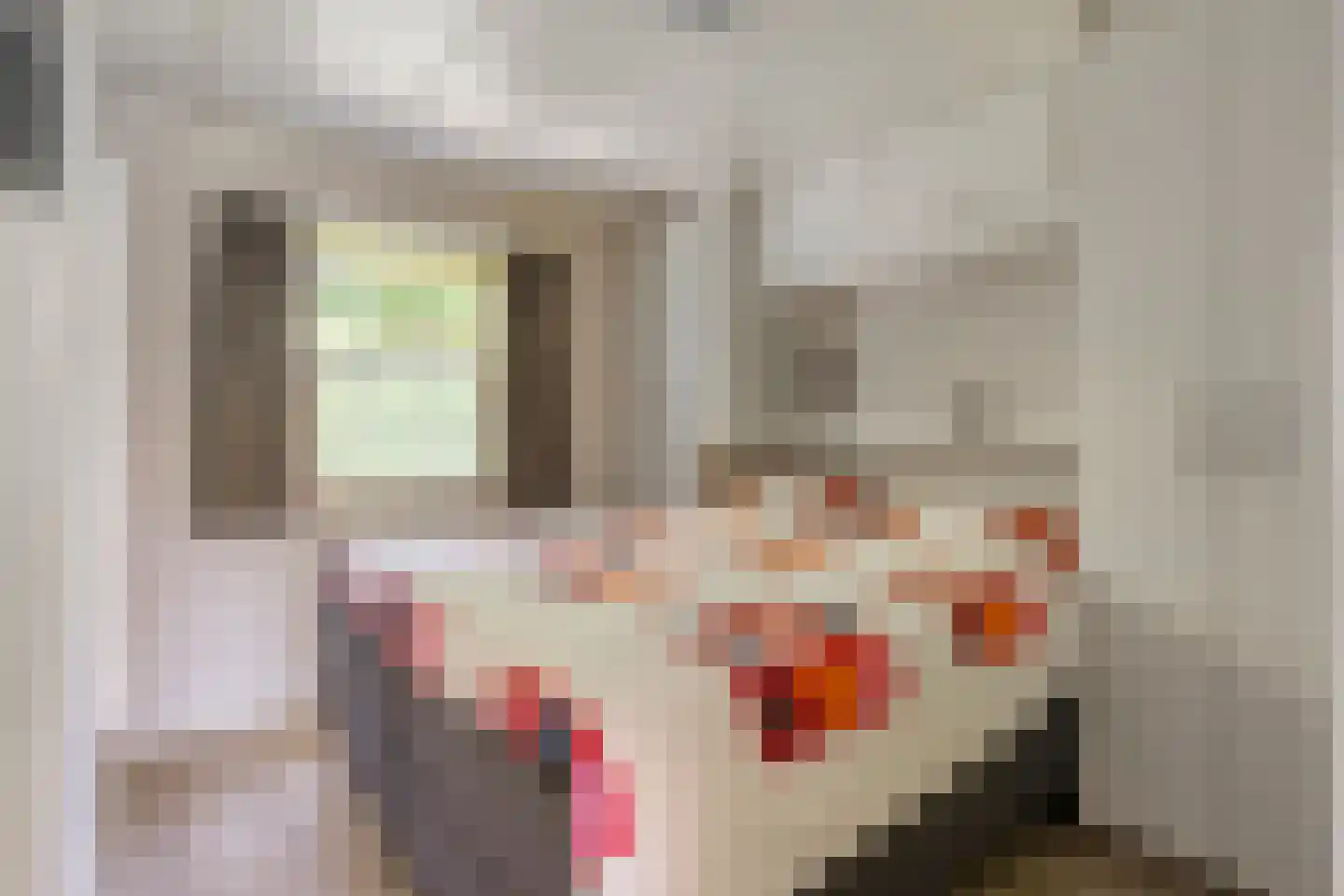 Coevorderweg 21 C1 Stegeren thumbnail 12