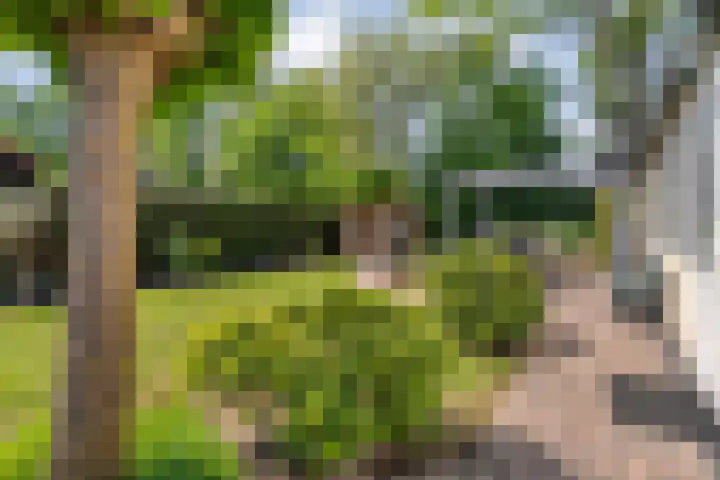 Coevorderweg 21 C1 Stegeren thumbnail 22