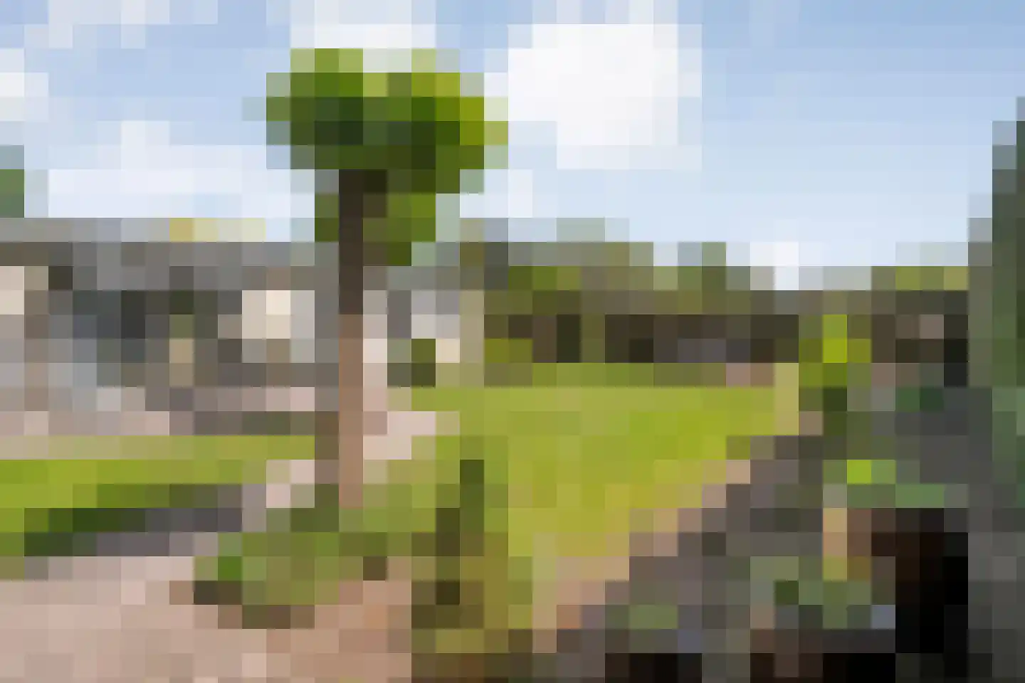 Coevorderweg 21 C1 Stegeren thumbnail 26