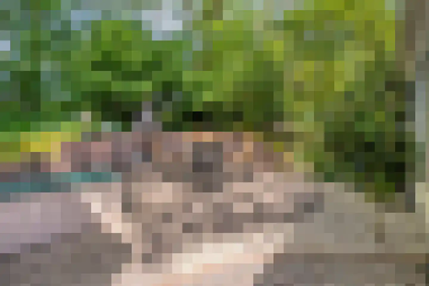 Coevorderweg 21 C1 Stegeren thumbnail 28