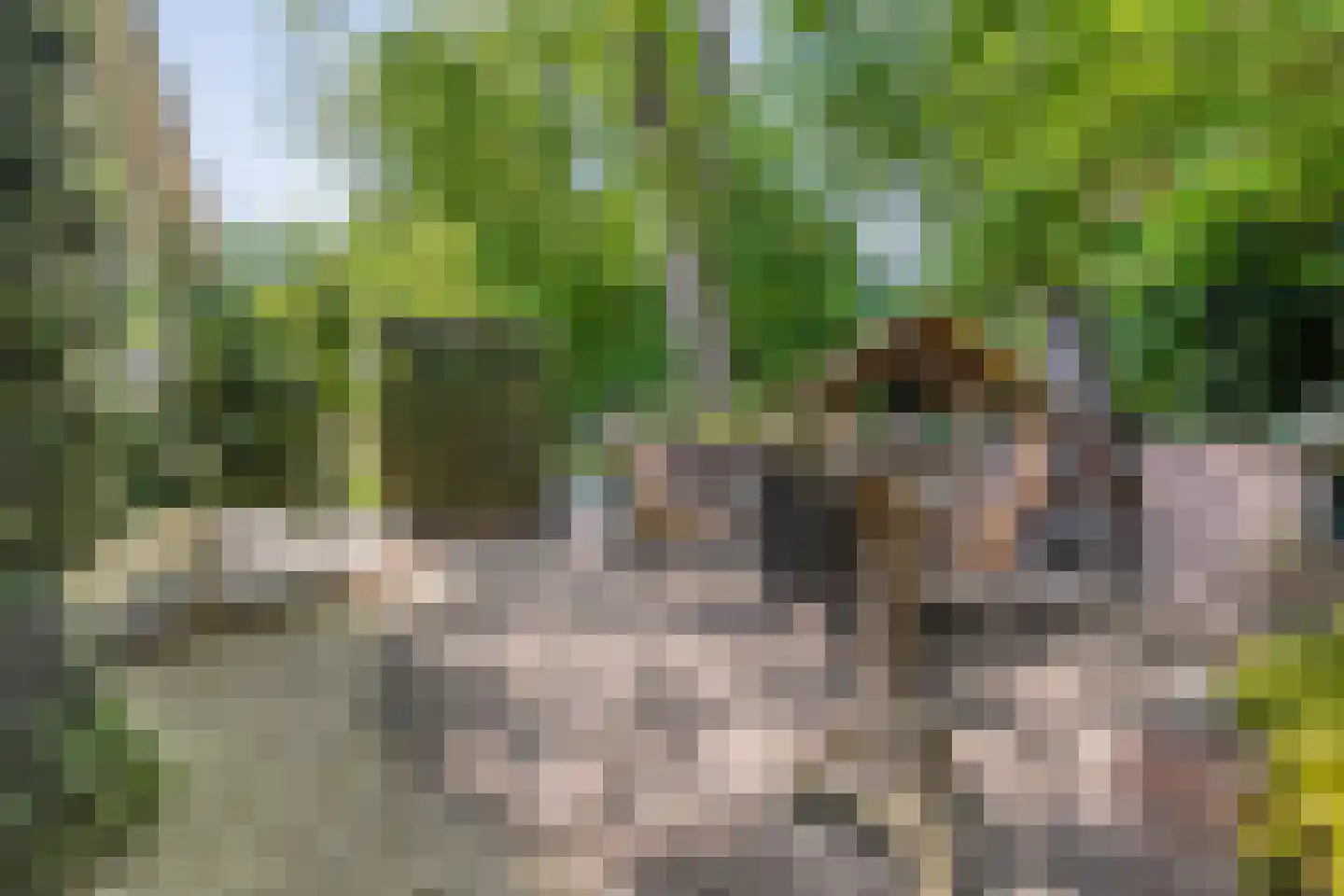 Coevorderweg 21 C1 Stegeren thumbnail 29