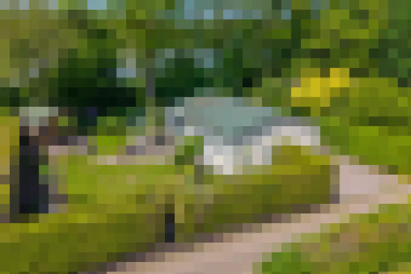 Coevorderweg 21 C1 Stegeren thumbnail 31