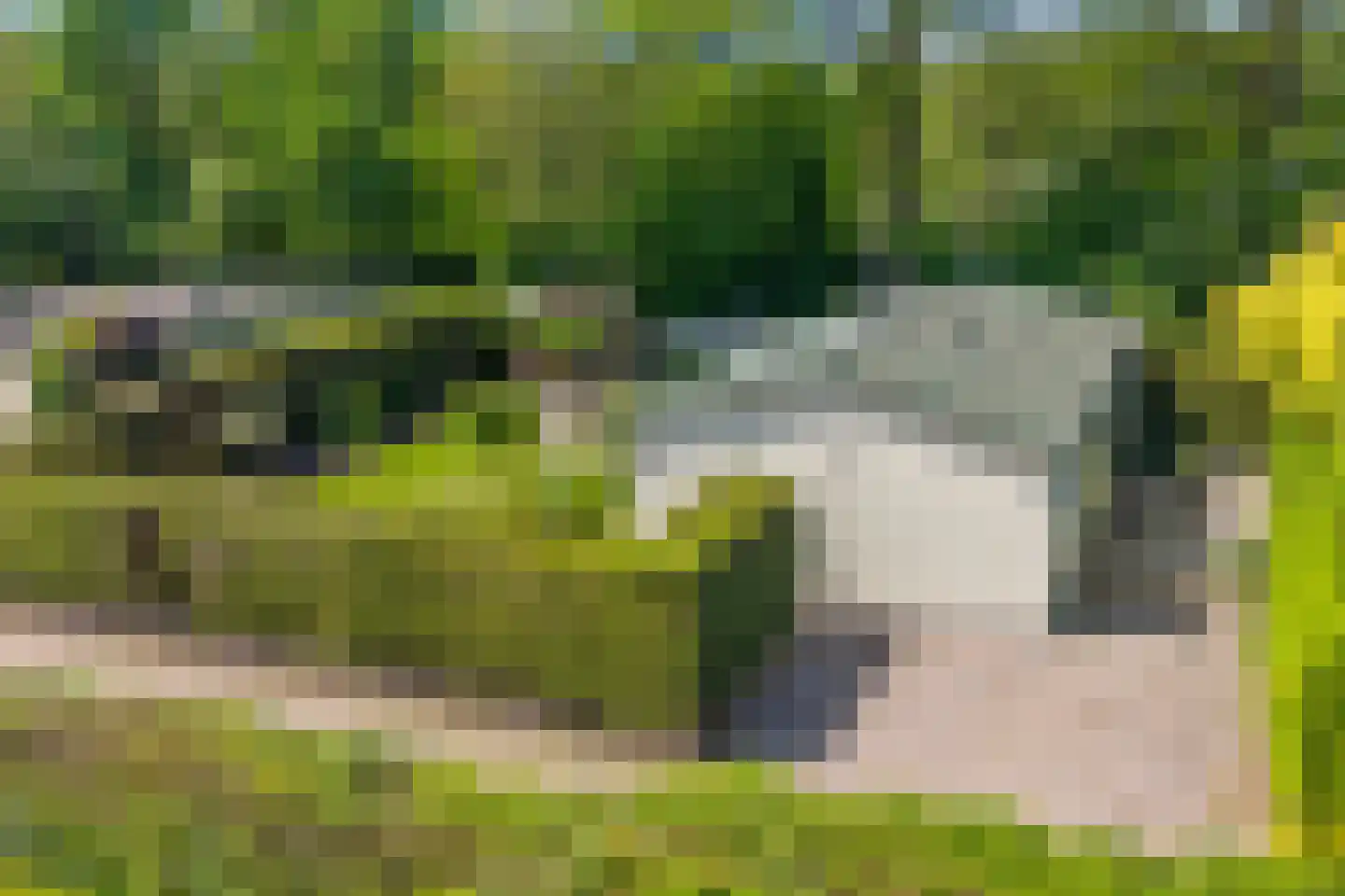 Coevorderweg 21 C1 Stegeren thumbnail 32