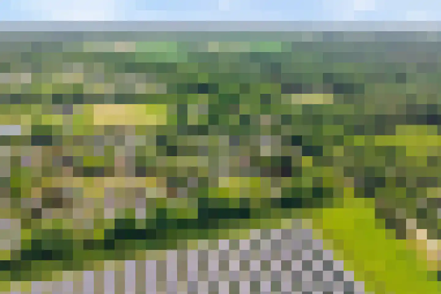 Coevorderweg 21 C1 Stegeren thumbnail 37