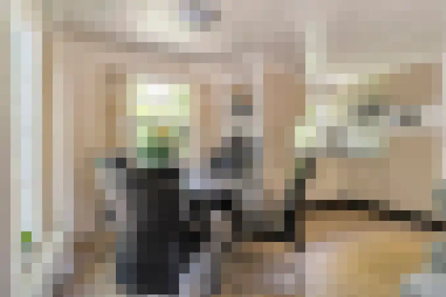 Coevorderweg 21 C1 Stegeren thumbnail 9