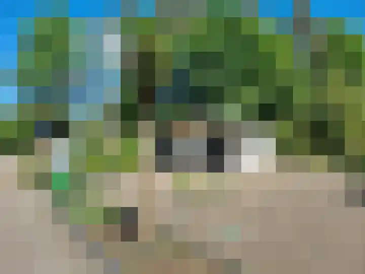 Coevorderweg 21 C49 Stegeren thumbnail 21