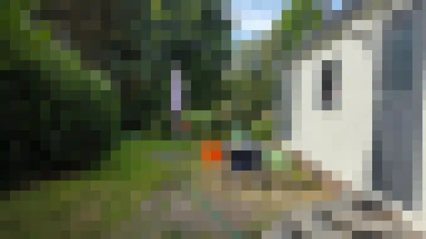 Coevorderweg 21 C58 Stegeren thumbnail 9