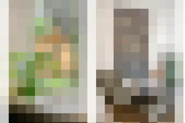 Coevorderweg 21 C59 Stegeren thumbnail 10