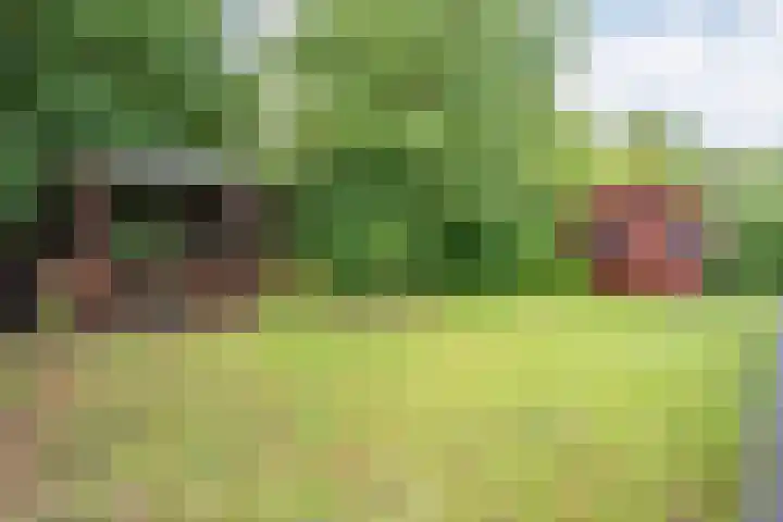 Coevorderweg 21 C59 Stegeren thumbnail 21