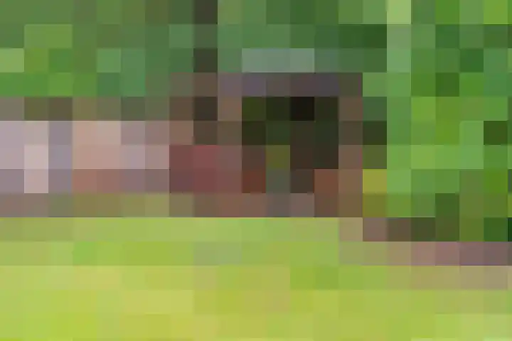 Coevorderweg 21 C59 Stegeren thumbnail 22