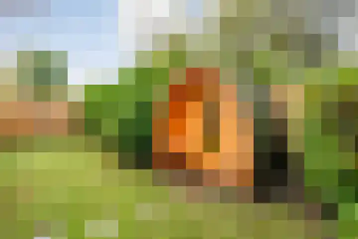 Coevorderweg 21 C59 Stegeren thumbnail 24