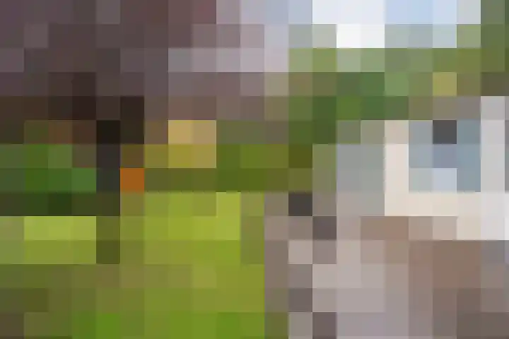Coevorderweg 21 C59 Stegeren thumbnail 26