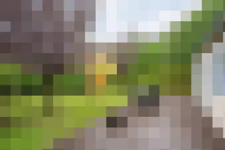 Coevorderweg 21 C59 Stegeren thumbnail 27