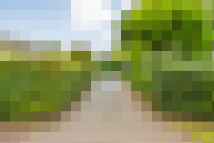 Coevorderweg 21 C59 Stegeren thumbnail 28