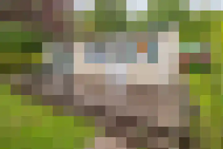 Coevorderweg 21 C59 Stegeren thumbnail 4