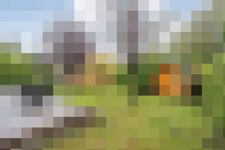 Coevorderweg 21 C59 Stegeren thumbnail 5