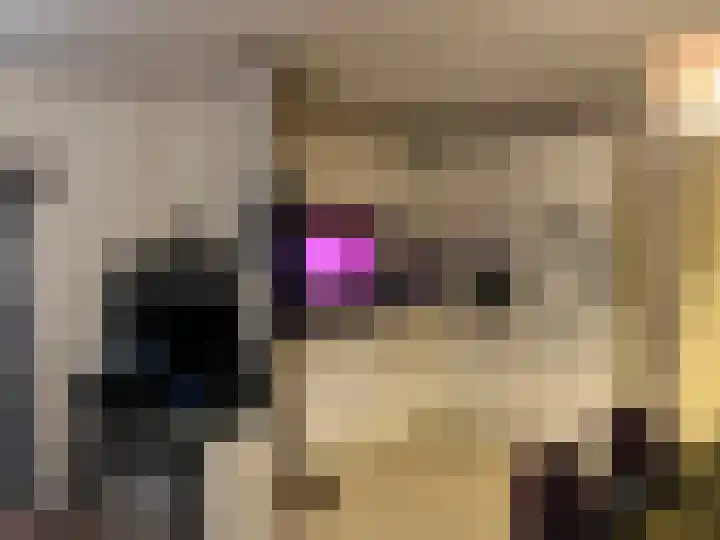Coevorderweg 21 C64 Stegeren thumbnail 5