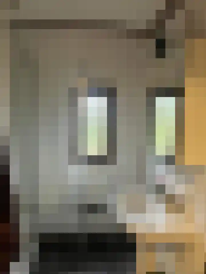 Coevorderweg 21 C64 Stegeren thumbnail 6