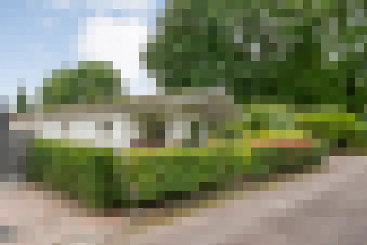 Coevorderweg 27 077 Stegeren