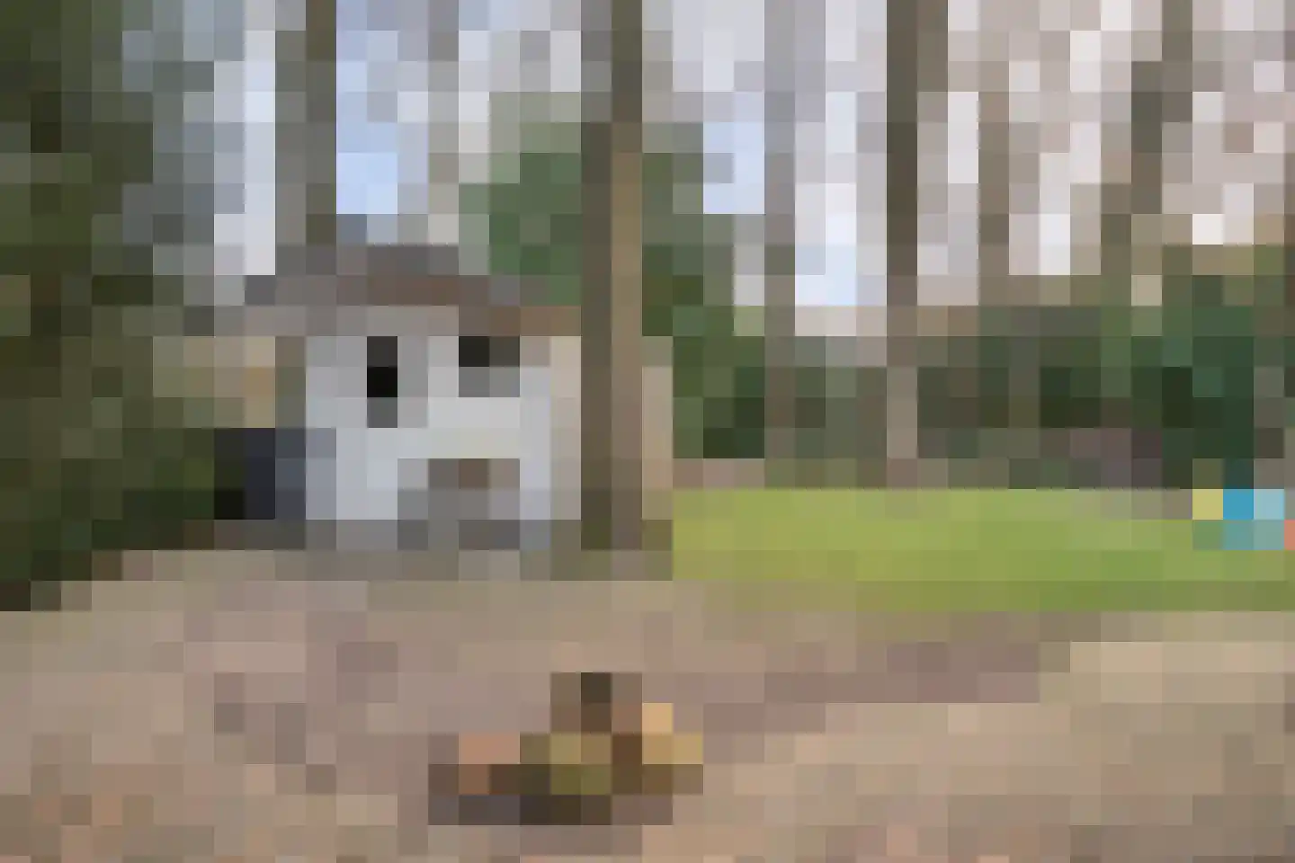 Coevorderweg 27 098 Stegeren thumbnail 18