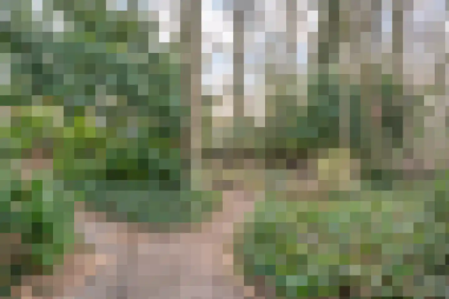 Coevorderweg 27 098 Stegeren thumbnail 21