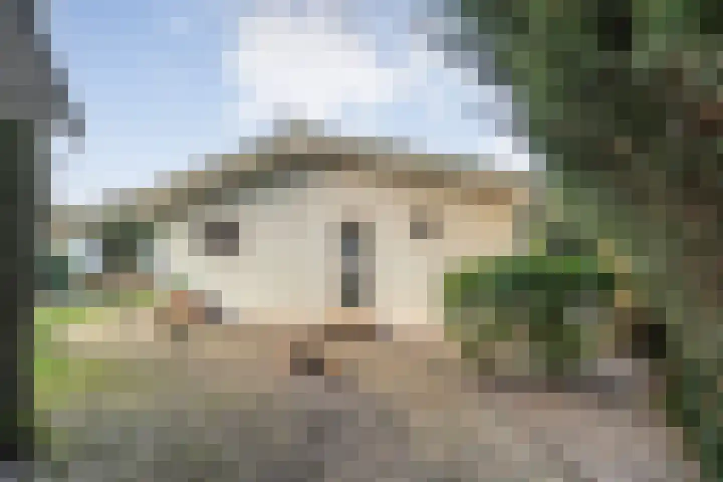 Coevorderweg 27 098 Stegeren thumbnail 27