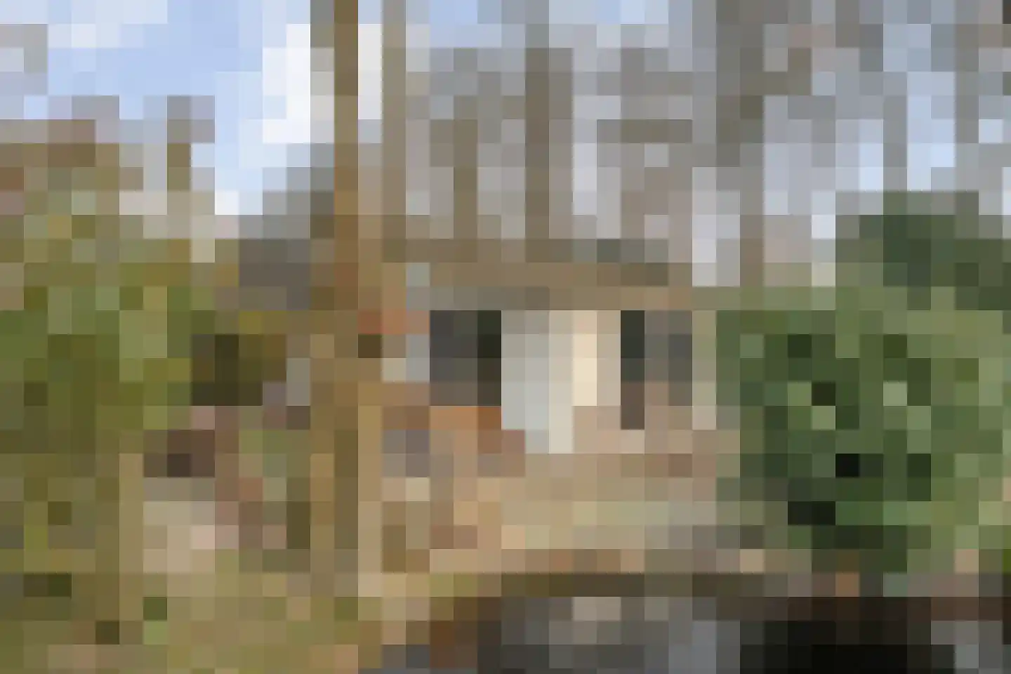 Coevorderweg 27 098 Stegeren thumbnail 28