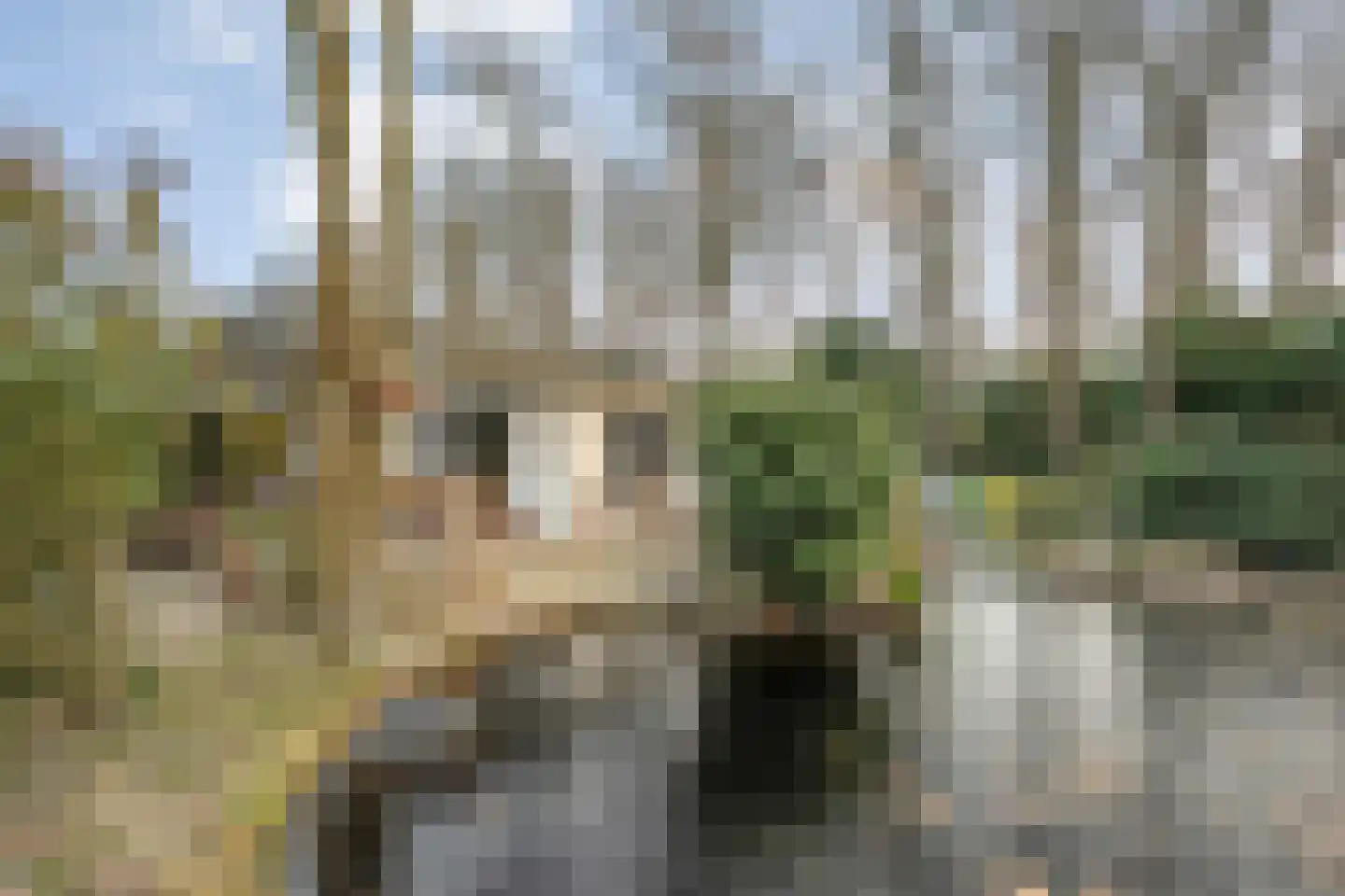 Coevorderweg 27 098 Stegeren thumbnail 29