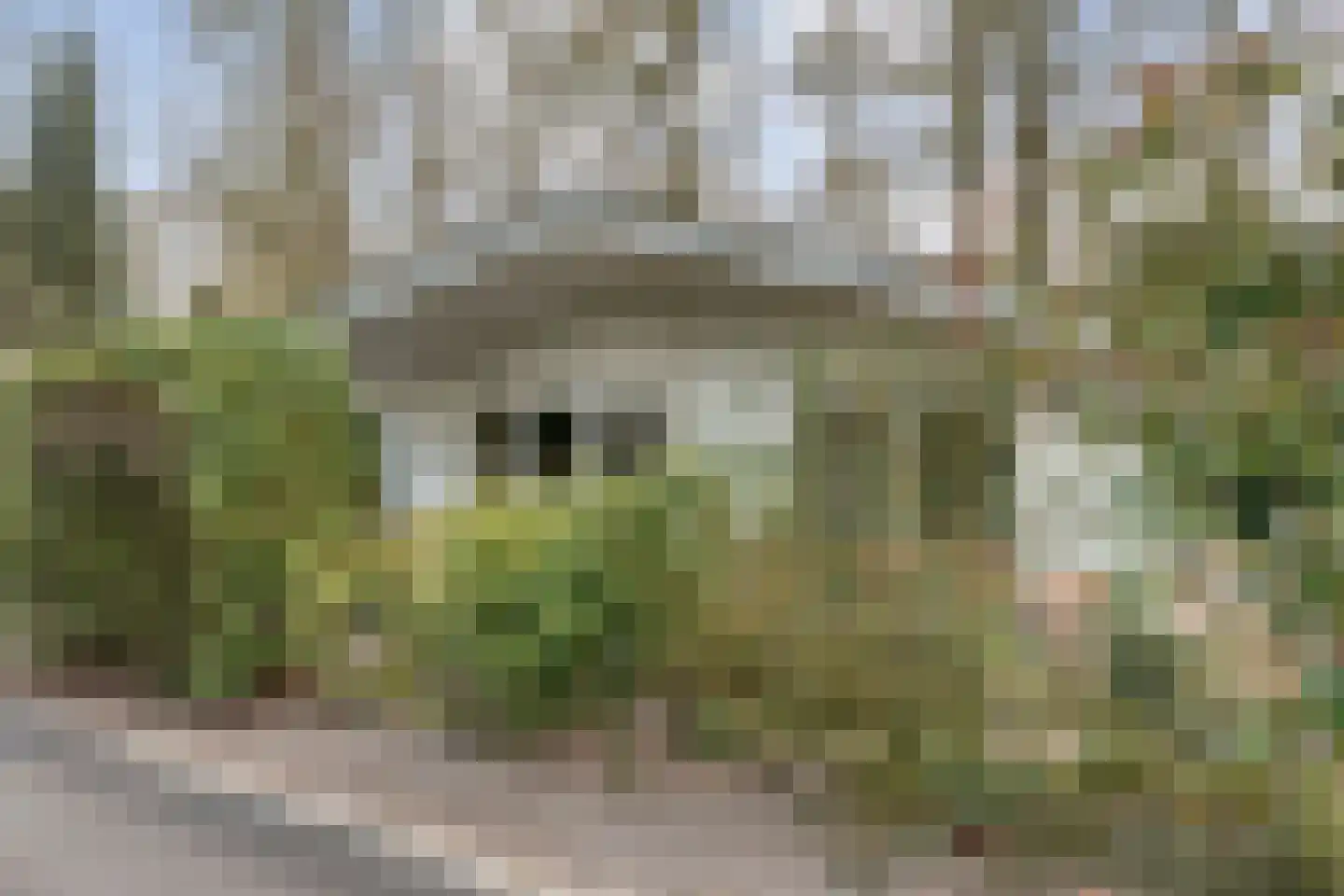 Coevorderweg 27 098 Stegeren thumbnail 4