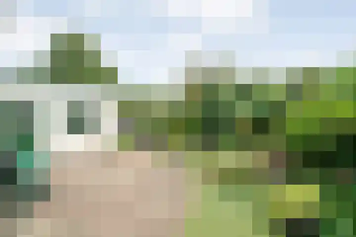 Coevorderweg 27 121 Stegeren thumbnail 31