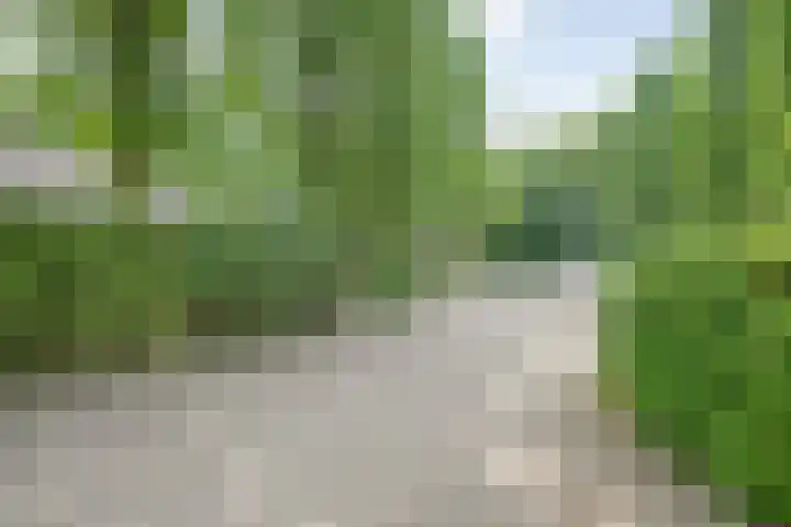 Coevorderweg 27 121 Stegeren thumbnail 38