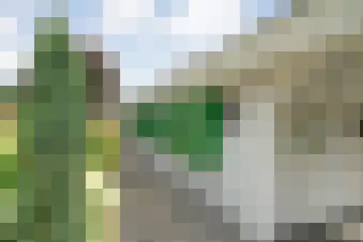 Coevorderweg 27 121 Stegeren thumbnail 39